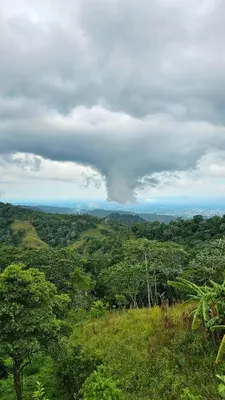 a view of a field of trees and a cloudy sky at Natural Refuge! - Cabin at the top of the mountain in La Búcara