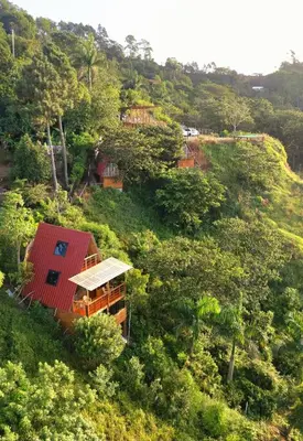 a house on the side of a hill with trees at Natural Refuge! - Cabin at the top of the mountain in La Búcara