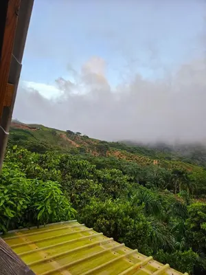a bench sitting on top of a lush green hill at Natural Refuge! - Cabin at the top of the mountain in La Búcara