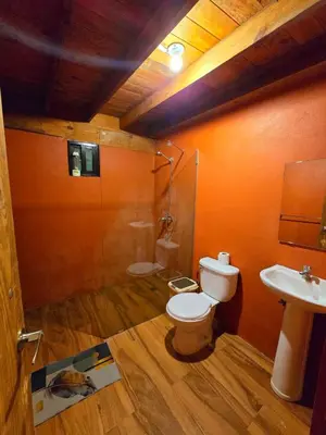 a bathroom with a toilet and a shower and a sink at Natural Refuge! - Cabin at the top of the mountain in La Búcara