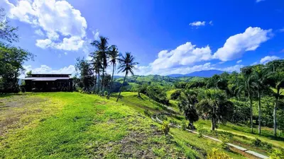 a field with palm trees in front of a building at MaRaVillas DR in the mountains excellent location in Jarabacoa