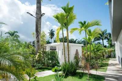 a garden with palm trees and a white building at La Anshihi in Las Terrenas