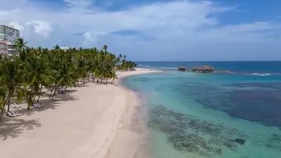 a beach with palm trees and the ocean at Rosa s Hidden Gem beach wifi in Los Corrales