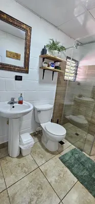 a bathroom with a toilet and a sink and a shower at Apartamento Mirador de La ciudad in Jarabacoa