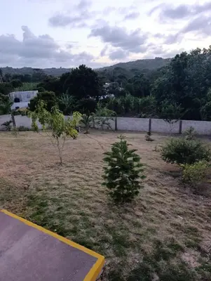 a yard with a small christmas tree in it at Apart hotel Costa Verde#7 con cama Queen in Las Galeras