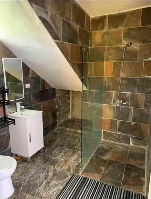 a bathroom with a shower and a toilet and a sink at Apart-hotel Central in Las Terrenas