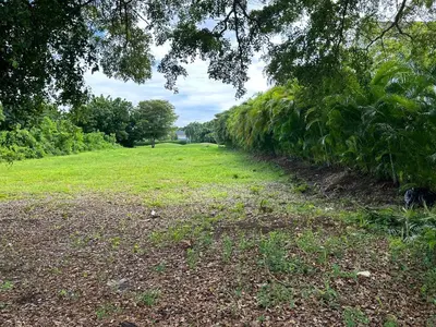 a grass field with trees and a dirt road at Villa paraíso in Juan Dolio