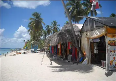 a store on the beach with palm trees and the ocean at Apartamento amueblado a 5 minutos de la playa in Bayahibe