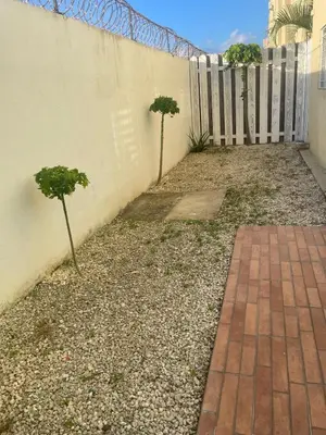two small trees in front of a fence at Apartamento en Caleta, La Romana in La Romana