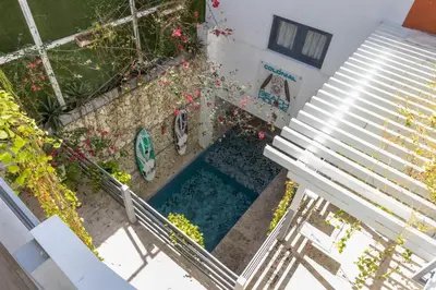 an overhead view of a swimming pool in a garden at Colonial House in Santo Domingo