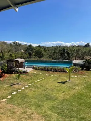 a pool with two palm trees in a yard at Habitacion 1 en Dani's Guest House in Las Galeras