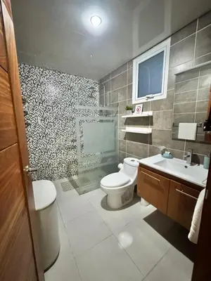 a bathroom with a toilet and a sink at Céntrico y acogedor apartamento en Bella Vista in Santo Domingo