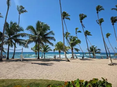 a beach with palm trees and the ocean at Jardines del Mar Todas las Amenidades Reserva Inmediata in Villas del Mar