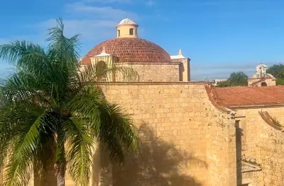 a palm tree next to a brick wall with a mosque at Luxury Two-Level Townhouse with Stunning Historic Views in Santo Domingo