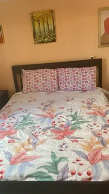 a bed with a floral comforter and two pillows at Edificio maremma 6 in Boca Chica