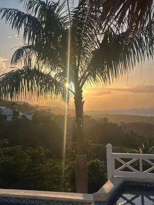 a palm tree and a white bench with the sunset at Villa Blanca, Las Terrenas, 4 chambres in Las Terrenas