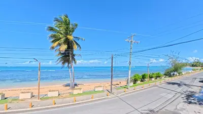 a palm tree on a street next to the beach at La Dolce Vita Beachfront Apt 9 in Las Terrenas