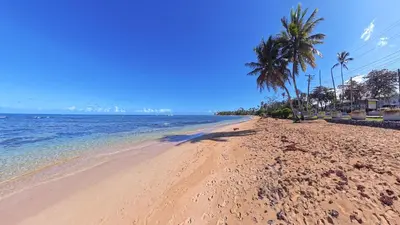 a sandy beach with palm trees and the ocean at La Dolce Vita Beachfront Apt 9 in Las Terrenas