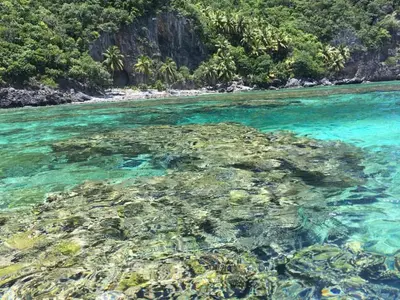 an image of a beach with coral reef at Apartamento Costero 1 en Las Galeras in Las Galeras