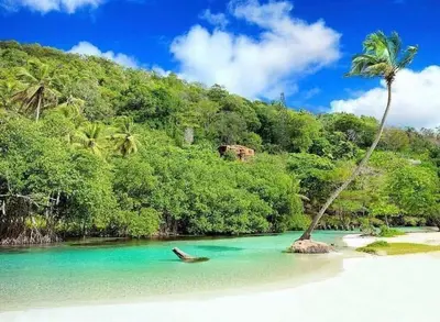 a palm tree on a beach with blue water at Apartamento Costero 1 en Las Galeras in Las Galeras