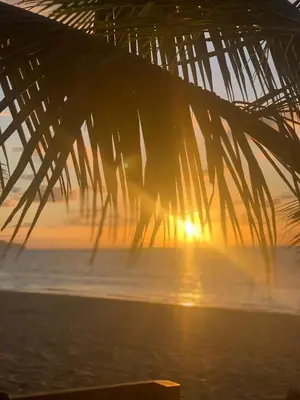a sunset on the beach with a palm leaf at The Nest, a quiet refuge with impressive views in Las Terrenas