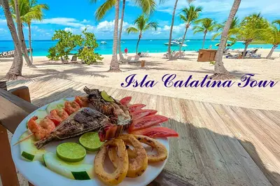 a plate of fish and onion rings on the beach at Luxury Beach flat in Bávaro Puntacana! in Punta Cana