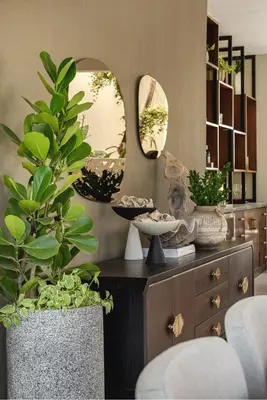 a room with two large potted plants on a dresser at Villa Barbara, serviced accommodation in the heart of Puntarena beach club in Sabana Buey