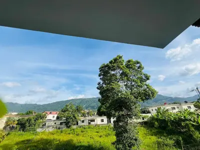 a tree in a field with buildings in the background at Brisas de las Montañas in Jarabacoa