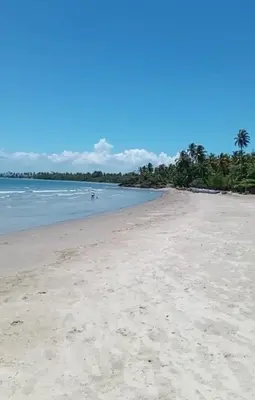 a sandy beach with palm trees and the ocean at Lunamare Residence in Los Grini