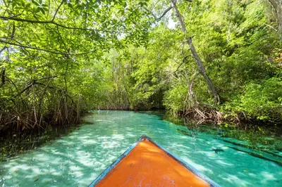 an orange boat in a river in a forest at Playa Grande House in Las Galeras