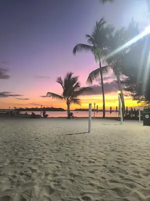 a sandy beach with palm trees and a sunset at Escape en terrazas del caribe con psicina y playa in Boca Chica