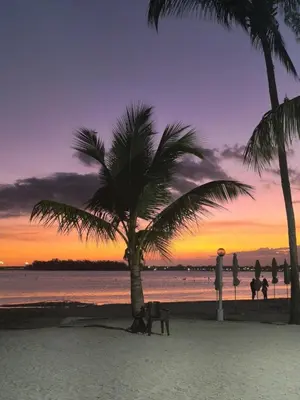 a palm tree on a beach with a sunset at Escape en terrazas del caribe con psicina y playa in Boca Chica