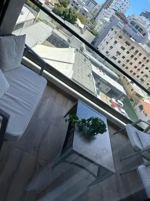 a plant sitting on a table in front of a window at Gaby Luxury apart in Santo Domingo
