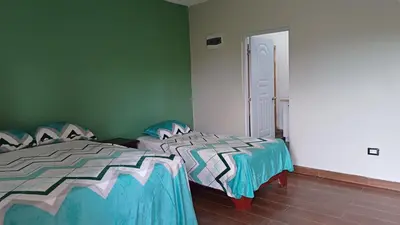 two beds in a room with green walls at Villa Sol de Campo in Las Galeras