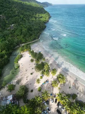 an aerial view of a beach with palm trees and the ocean at Villa Sol de Campo in Las Galeras