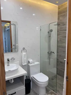 a bathroom with a shower and a toilet and a sink at Sky Golden in Los Altos de Jalisco