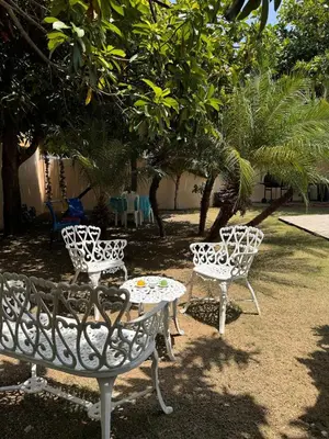 three white chairs and a table under a tree at Villa BayRum in San Felipe de Puerto Plata