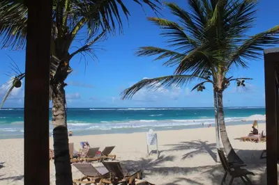 a view of the beach from the hotel at Blue Paradise Punta Cana in Punta Cana