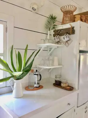 a kitchen counter with a potted plant on it at JAVO BEACH the Nest in Las Galeras