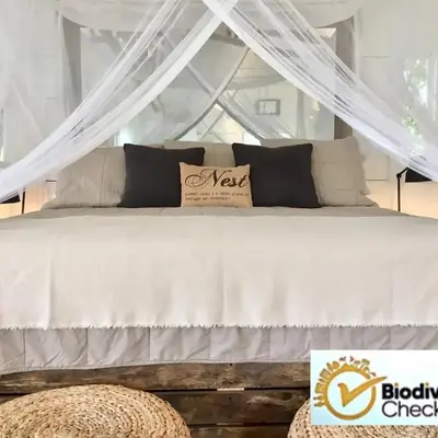JAVO BEACH the Nest