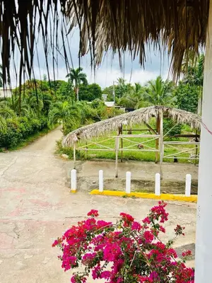 a garden with pink flowers and a fence at The Coco Garden Cabin in Las Galeras