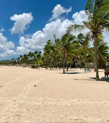 a group of palm trees on a sandy beach at Peaceful 2 Bed Apartment - Pool & Private Beach Access in Punta Cana