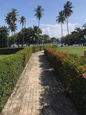 a brick path in a park with palm trees and flowers at villas bahia in Sánchez