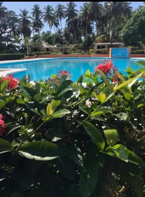 a plant with red flowers in front of a swimming pool at villas bahia in Sánchez