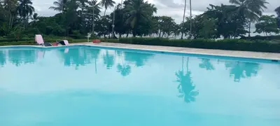 a swimming pool with blue water and palm trees at villas bahia in Sánchez