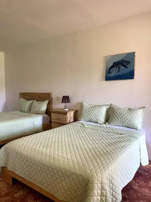 a bedroom with two beds and a picture of a dolphin on the wall at Habitacion 2 en Dani's Guest House in Las Galeras