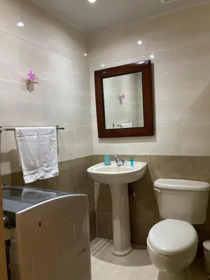 a bathroom with a sink and a toilet and a mirror at Residencial Don Pedro 1103 in Santo Domingo