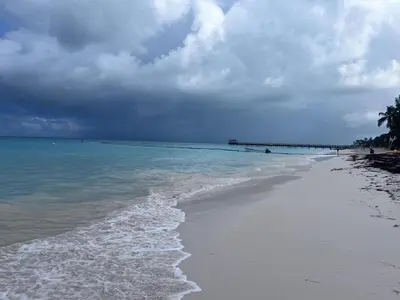 a beach with a cloudy sky and the ocean at Jojo's Caribbean Retreat in Punta Cana