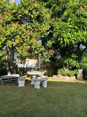 a group of benches in a park under a tree at La Casita Primavera-Cozy and Rustic in Piedra Blanca