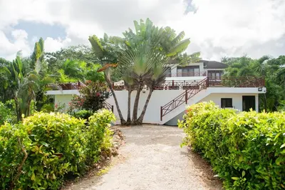 a house with a palm tree in front of it at Lives off Colorada Beach in La Colmena
